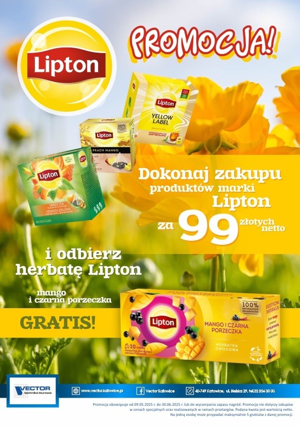 Ulotka Vector Lipton herbata_.jpg